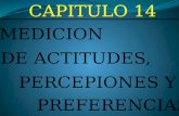 DE ACTITUDES, PERCEPIONES Y PREFERENCIAS MEDICION CAPITULO 14.