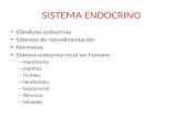 SISTEMA ENDOCRINO Glándulas endocrinas Sistemas de retroalimentación Hormonas Sistema endocrino en el ser humano – Hipotálamo – Hipófisis – Tiroides –