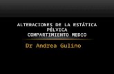 Dr Andrea Gulino ALTERACIONES DE LA ESTÁTICA PÉLVICA COMPARTIMIENTO MEDIO.