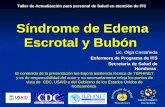 Síndrome de Edema Escrotal y Bubón Lic. Olga Castañeda Enfermera de Programa de ITS Secretaría de Salud de Honduras El contenido de la presentación fue.