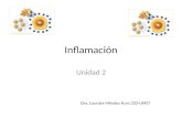 Inflamación Unidad 2 Dra. Lourdes Méndez Nurs 232-UMET.
