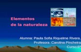 Alumna: Paula Sofia Riquelme Rivera. Profesora :Carolina Pincheira Curso:6ª Elementos de la naturaleza.