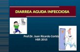 DIARREA AGUDA INFECCIOSA Prof.Dr. Juan Ricardo Cort©s HSR 2015 Prof.Dr. Juan Ricardo Cort©s HSR 2015