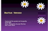 Curso de Pos grado de Ecografia FCM-UNA Dras. Margarita Aucejo Montes Dra. Aura Vera.