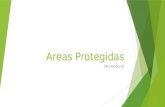 Areas Protegidas De Honduras. Que son?  Son los espacios continentales y/o marinos del territorio nacional, expresamente reconocidos y declarados como.