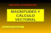 1 MAGNITUDES Y CÁLCULO VECTORAL Física y química 1º Bachillerato TEMA INICIAL DE INTRODUCCIÓN.