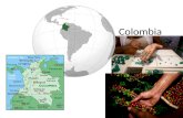 Colombia. Geografía Fronteras con Panama, Venezuela, Brazil, Peru, Ecuador. Costas en el Pacífico y el mar caribe.