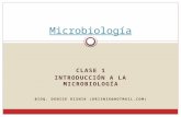 CLASE 1 INTRODUCCIÓN A LA MICROBIOLOGÍA BIOQ. DENISE RISNIK (DRISNIK@HOTMAIL.COM) Microbiología.