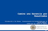 1 Introducción a las Normas Internacionales de Contabilidad para el Sector Público (IPSAS por sus siglas en inglés) SAF Camino una Gerencia por Resultados.