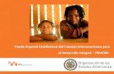 Fondo Especial Multilateral del Consejo Interamericano para el Desarrollo Integral - FEMCIDI.