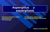 Aspergillus y aspergilosis Macarena Pariente Martín Laboratorio de Microbiología Mª José Díaz Villaescusa Unidad de Medicina Preventiva Miércoles 16 de.