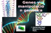 Hecho por Raúl Blasco y Diego Peón.. Portada-Diapositiva 1 Índice, introducción y conocimientos básicos-Diapositivas 2-4 El material de los genes (ADN)-Diapositiva.