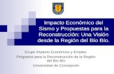 Impacto Económico del Sismo y Propuestas para la Reconstrucción: Una Visión desde la Región del Bío Bío. Grupo Impacto Económico y Empleo Programa para.