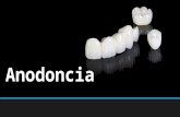 La palabra anodoncia esta formada por raíces griegas An-sin Odon- diente = Ausencia De De Uno O Mas Dientes Enfermedad que consiste en la falta de 1 o.