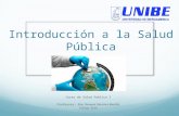 Introducción a la Salud Pública Curso de Salud Publica I Profesora: Dra. Tamara Sánchez Badilla Código 9536.