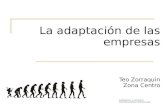 La adaptación de las empresas Teo Zorraquin Zona Centro 21 de agosto de 2015.