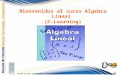 ALGEBRA LINEAL Introducción al curso CAMILO A. ZUÑIGA G. Universidad Nacional Abierta y a Distancia UNAD Bienvenidos al curso Algebra Lineal (E-Learning)
