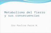 Metabolismo del fierro y sus consecuencias Dra Paulina Parra W.