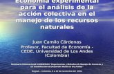 Economía experimental para el análisis de la acción colectiva en el manejo de los recursos naturales Juan Camilo Cárdenas Profesor, Facultad de Economía.