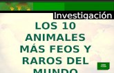 LOS 10 ANIMALES MÁS FEOS Y RAROS DEL MUNDO AUDIO Y CLICK.
