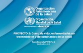 0 PROYECTO 2: Curso de vida, enfermedades no transmisibles y determinantes de la salud Transferencia PWR Perú Septiembre, 2015.