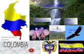 Generalidades EL ARBOL NACIONAL Ave nacional Personaje nacional Baile nacional S S Escudo nacional Símbolos patrios de Colombia La bandera de Colombia.