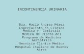 INCONTINENCIA URINARIA Dra. María Andrea Pérez Especialista en Clínica Medica y Geriatría Médica de Planta del Programa de Medicina Geriátrica Servicio.