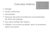 Cocculus indicus Vértigo Cuidar enfermos Desveladas Náuseas durante el embarazo acompañadas de dolor de espalda Uso para vértigo del viajero Céfalea en.