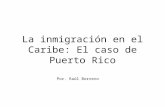 La inmigración en el Caribe: El caso de Puerto Rico Por. Raúl Borrero.