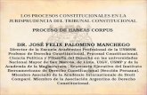 DR. JOSÉ FELIX PALOMINO MANCHEGO LOS PROCESOS CONSTITUCIONALES EN LA JURISPRUDENCIA DEL TRIBUNAL CONSTITUCIONAL PROCESO DE HABEAS CORPUS DR. JOSÉ FELIX.