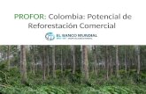 PROFOR: Colombia: Potencial de Reforestación Comercial.