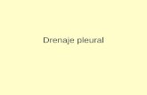 Drenaje pleural. Es la evacuación de aire, líquido y/o sangre de la cavidad pleural a través de un sistema de drenaje, para restablecer la presión intrapleural.