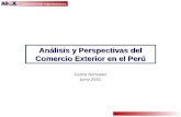 ... promoviendo exportaciones Análisis y Perspectivas del Comercio Exterior en el Perú Carlos Gonzalez Junio 2001.