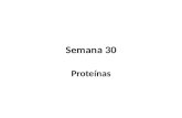 Semana 30 Proteínas. Definición, clasificación Por su función biológica y su composición Niveles de organización: Estructuras (1ª 2ª 3ª 4ª) Enlaces presentes.