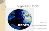 Seguridad DNS Tema 3 SRI Vicente Sánchez Patón I.E.S Gregorio Prieto.