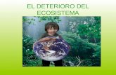 EL DETERIORO DEL ECOSISTEMA. Se entiende por medioambiente al entorno que afecta y condiciona especialmente las circunstancias de vida de las personas.