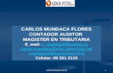 Carlos Mundaca Flores1 CARLOS MUNDACA FLORES CONTADOR AUDITOR MAGISTER EN TRIBUTARIA E_mail: c_mundacaf@yahoo.esc_mundacaf@yahoo.es carlos.mundaca@edu.uamericas.net.