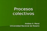 Procesos colectivos Andrea A. Meroi Universidad Nacional de Rosario.