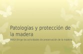 Patologías y protección de la madera M4S3 Dirige las actividades de preservación de la madera.