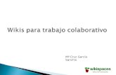 Mª Cruz García Sanchis.  - Concepto de wiki  - Primeros pasos  - Aspecto de la wiki  - Editar  - Otras opciones  - Trabajo a realizar.