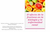 El efecto de la fructosa en la biología y la enfermedad renal Richard J. Johnson, L. Gabriela Sanchez-Lozada, and Takahiko Nakagawa Division of Renal Diseases.
