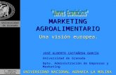 J. Alberto Castañeda Universidad de Granada MARKETING AGROALIMENTARIO Una visión europea. JOSÉ ALBERTO CASTAÑEDA GARCÍA Universidad de Granada Dpto. Administración.