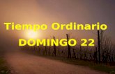 Tiempo Ordinario DOMINGO 22 Tiempo Ordinario DOMINGO 22.