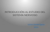 INTRODUCCIÓN AL ESTUDIO DEL SISTEMA NERVIOSO Víctor David Ojeda 2014.