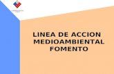 LINEA DE ACCION MEDIOAMBIENTAL FOMENTO. Acción de Fomento Apoyar a la PyMe en el desarrollo de su proceso de generación y fortalecimiento de capacidades.