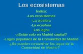 Los ecosistemas Índice: Índice: -Los ecosistemas -La biosfera -La ecosfera -Los lagos -¿Están solo en Madrid capital? -Lagos populares de la Comunidad.