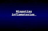 Miopatías inflamatorias. - La polimiositis es una enfermedad crónica del tejido conectivo caracterizada por inflamación con dolor y degeneración de los.