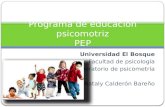 Universidad El Bosque Facultad de psicología Laboratorio de psicometría Nataly Calderón Bareño Programa de educación psicomotriz PEP.