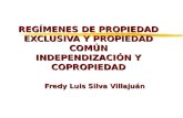 REGÍMENES DE PROPIEDAD EXCLUSIVA Y PROPIEDAD COMÚN INDEPENDIZACIÓN Y COPROPIEDAD Fredy Luis Silva Villajuán.