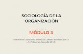SOCIOLOGÍA DE LA ORGANIZACIÓN MÓDULO 3 Material de Circulación Interna de Cátedra diseñado por La LA.LPs Carmen Pensado (2014)